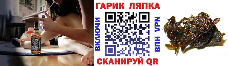 Купить закладки  Дмитров  Гашиш Изолятор 