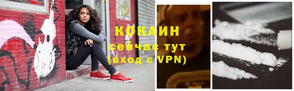 mix Козельск