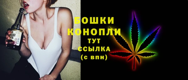 mix Козельск