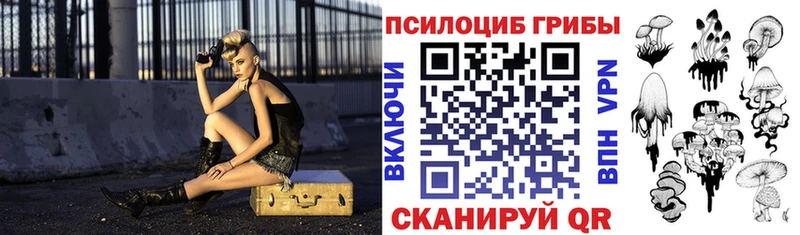 Купить закладки  Дмитров  Галлюциногенные грибы прущие грибы 